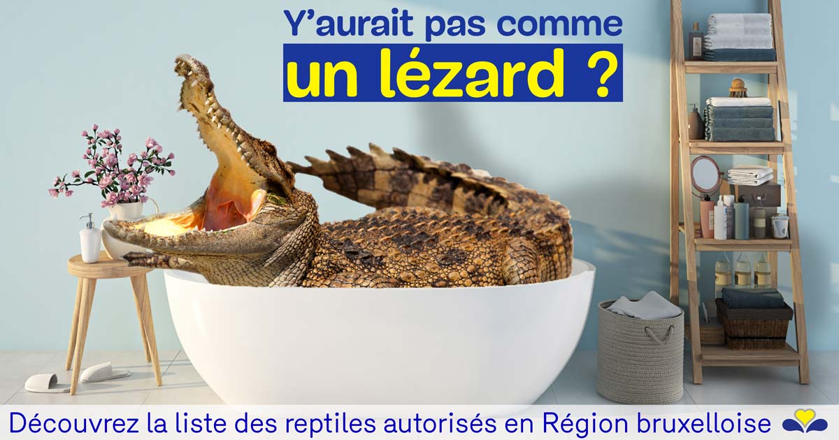 Liste des reptiles autorisés en Région bruxelloise