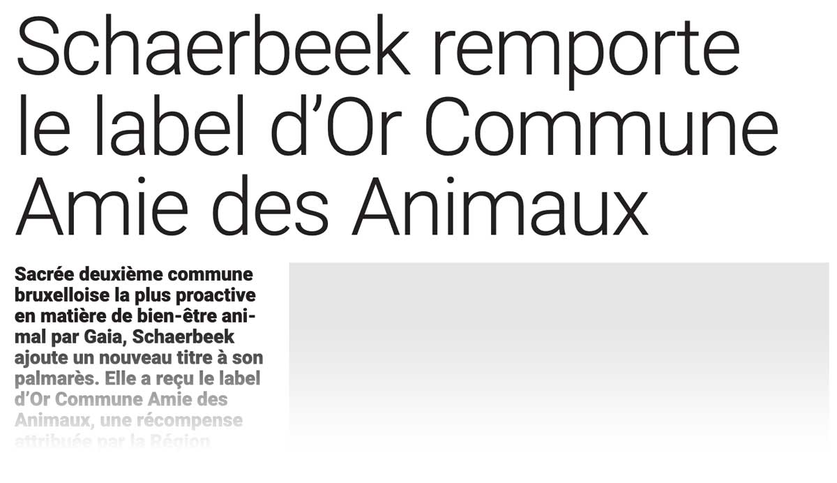 Extrait de presse, La Capitale : «Schaerbeek remporte le label d'Or Commune Amie des Animaux».