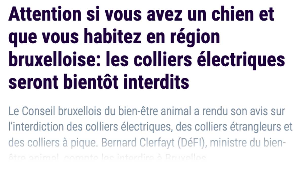 extrait de presse, Sud Presse : 'Attention si vous avez un chien et que vous habitez en région bruxelloise: les colliers électriques seront bientôt interdits"