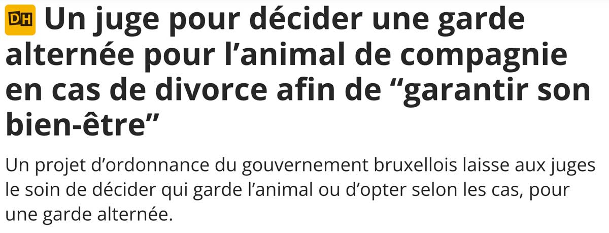 Extrait de presse, la DH : "Une garde alternée pour l’animal de compagnie en cas de divorce"