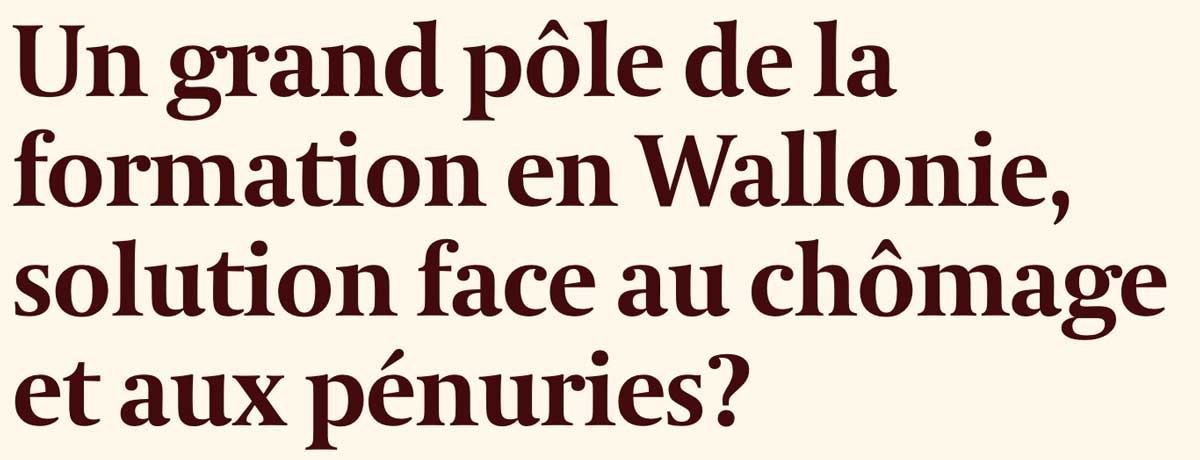 Extrait de presse, L'Echho : "Vers un grand pôle de la formation en Wallonie?"