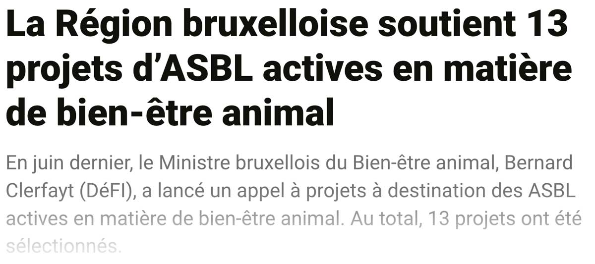 Extrait de presse, Sudpresse : "La Région bruxelloise soutient 13 projets d’ASBL actives en matière de bien-être animal".