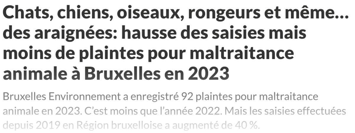 Extrait de presse, l'avenir : "Chats, chiens, oiseaux, rongeurs et même… des araignées: hausse des saisies mais moins de plaintes pour maltraitance animale à Bruxelles en 2023".