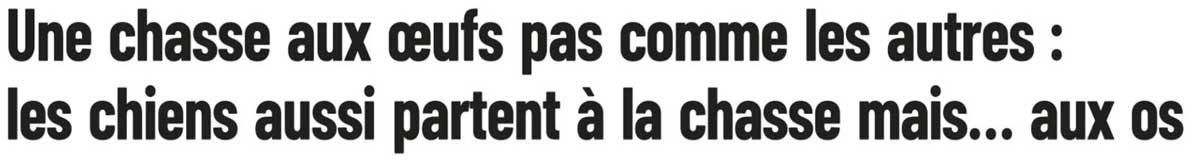 Extrait de presse, La Capitale : "Une chasse aux œufs pas comme les autres : les chiens aussi partent à la chasse mais… aux os".