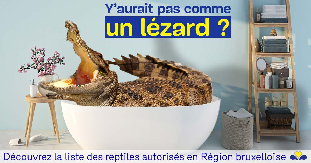 Liste des reptiles autorisés en Région bruxelloise