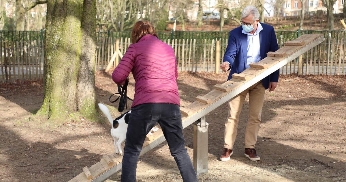 La Région bruxelloise lance un nouvel appel à projets pour améliorer le bien-être des animaux en ville