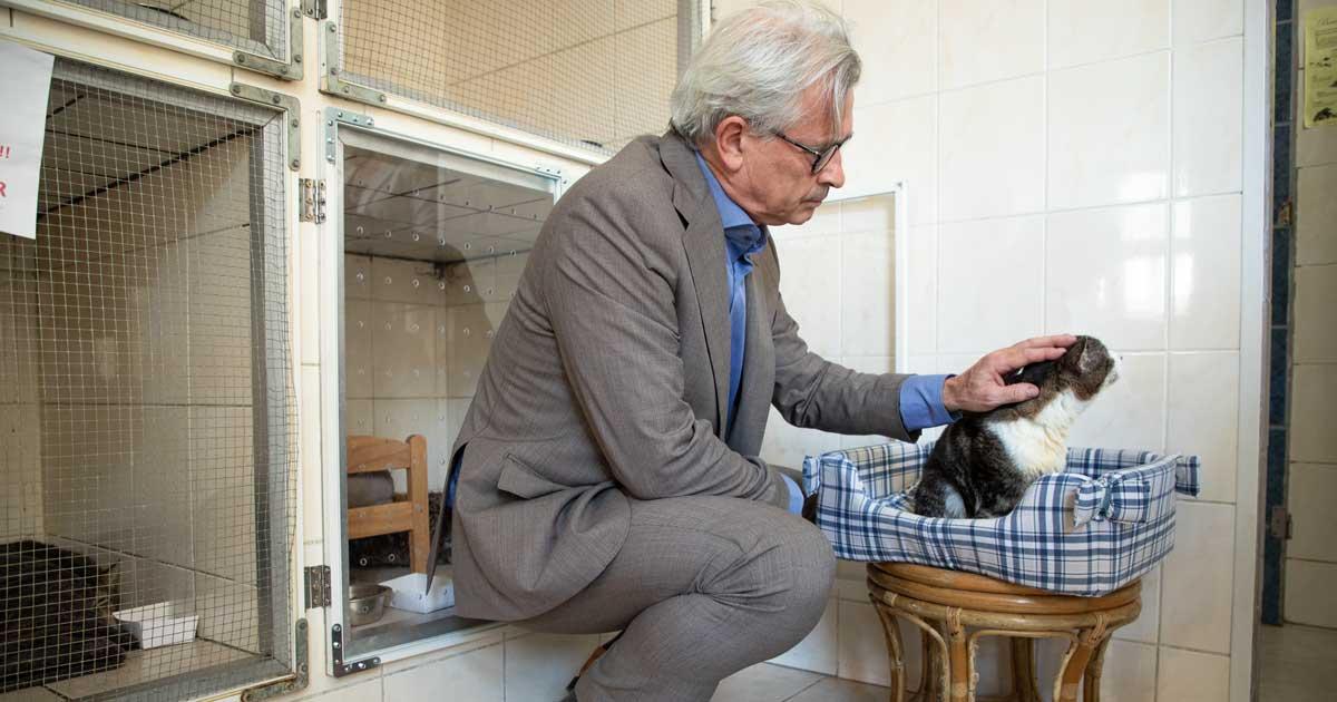 Bernard Clerfayt lance un appel à subventions pour aider les refuges pour animaux