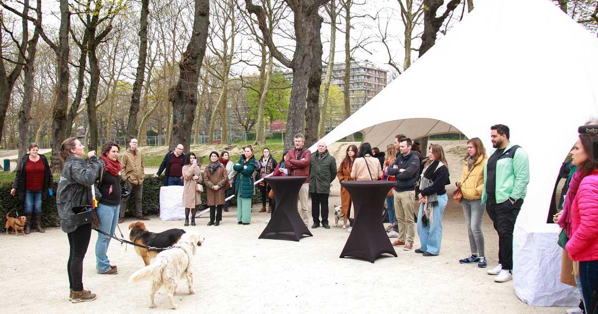 De deelnemers bij de uitreiking van de labels Diervriendelijke Gemeente, verzameld in het Jubelpark in Brussel