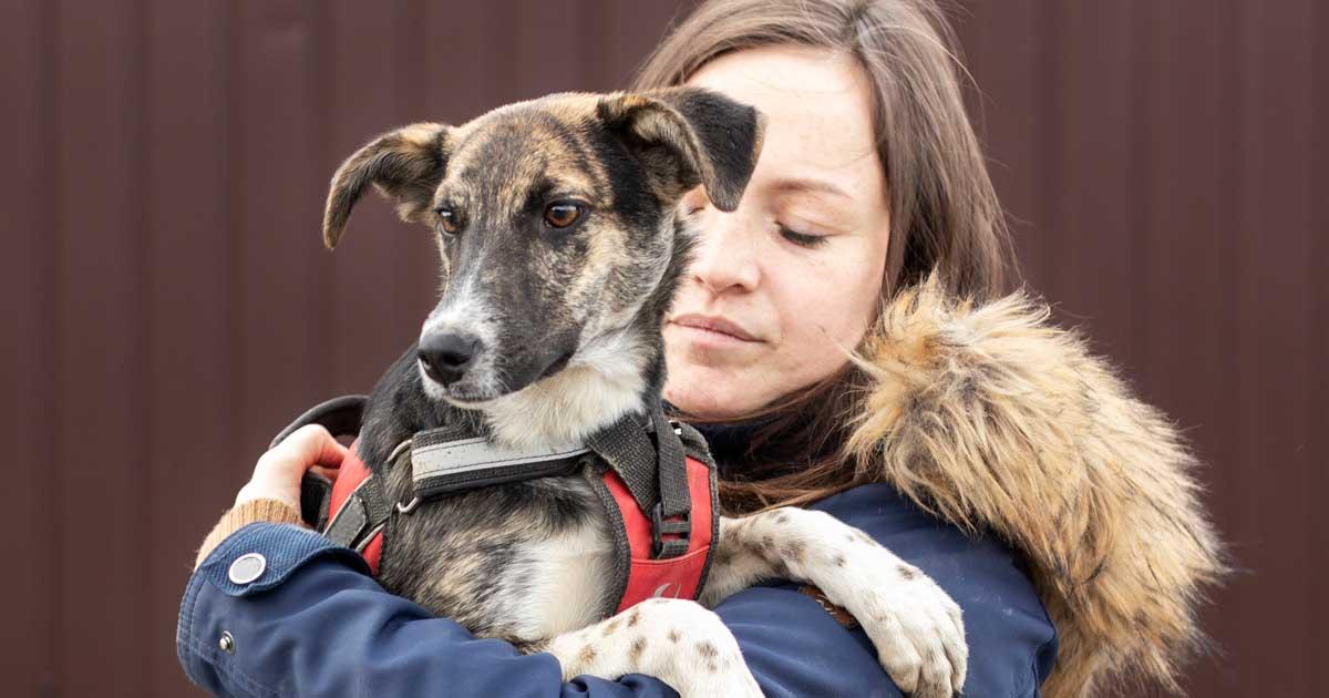 Jonge vrouw met haar hond – Oekraïense vluchtelingen die moeilijk onderdak vinden met hun gezelschapsdier, kunnen een oplossing vinden voor tijdelijke huisvesting en de overeenkomst voor tijdelijke opvang gebruiken.